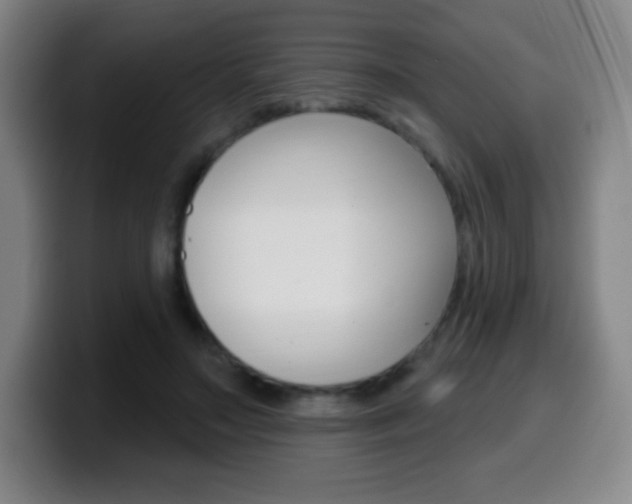 X0000099520499200805151035