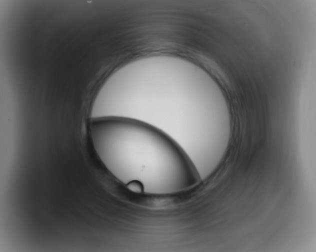 X0000099520501200805151035