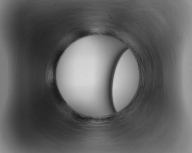 X0000099520502200805151035