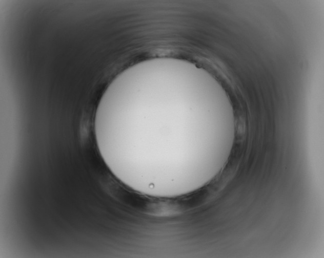 X0000099520503200805151035