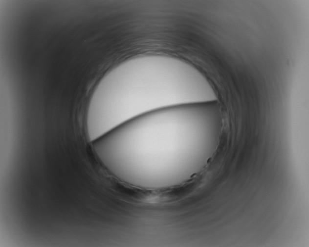 X0000099520504200805151035