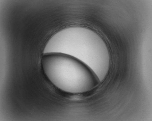 X0000099520505200805151035