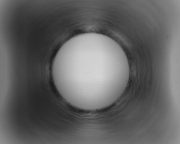 X0000099520506200805151035