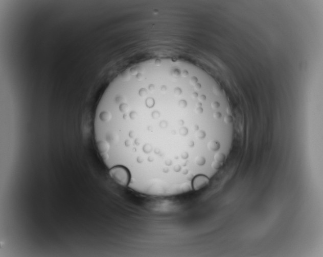 X0000099520507200805151035