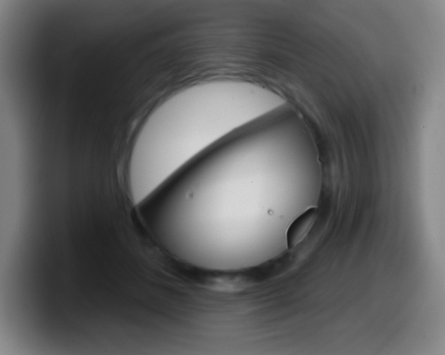X0000099520508200805151035