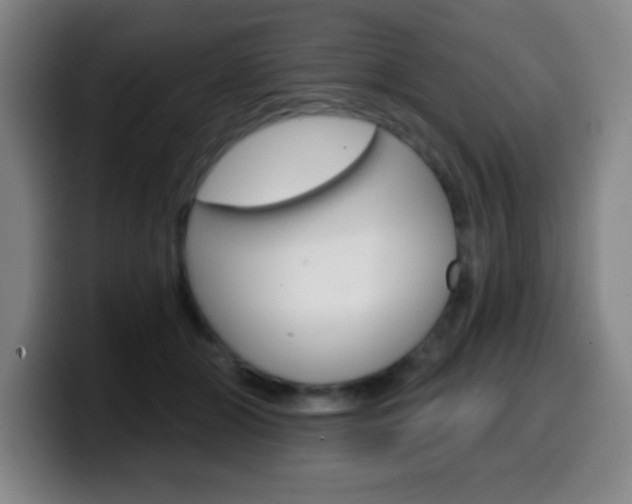X0000099520510200805151035