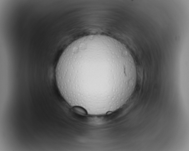 X0000099520511200805151035