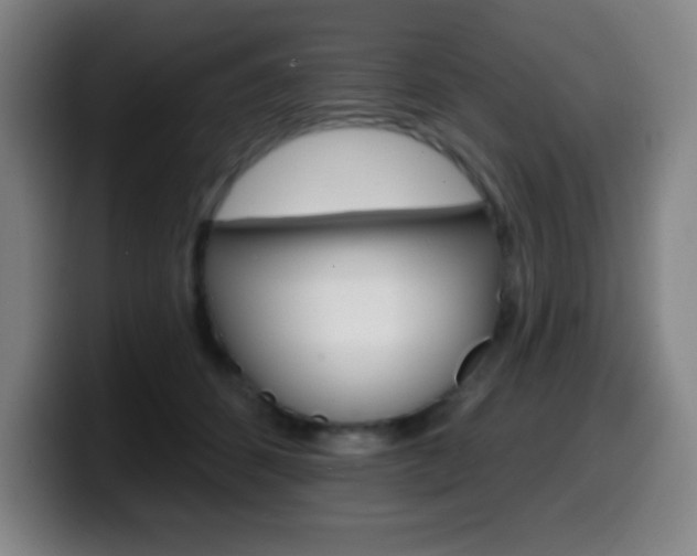 X0000099520512200805151035