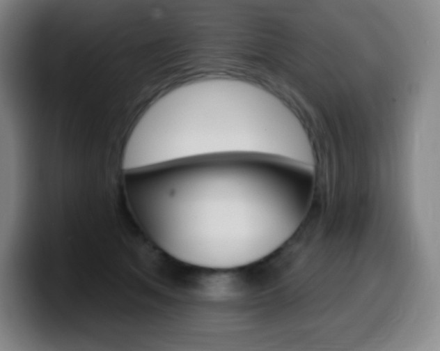 X0000099520513200805151035