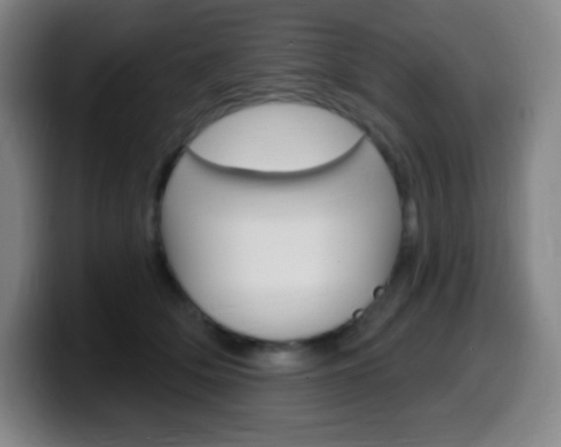 X0000099520514200805151035
