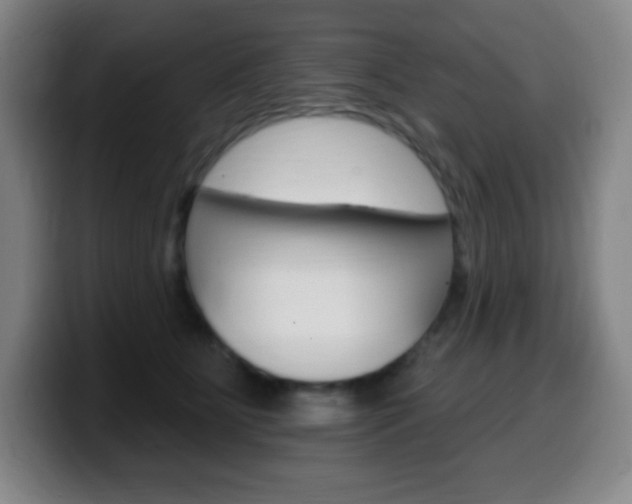 X0000099520515200805151035