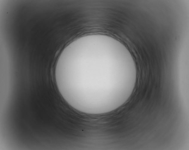 X0000099520516200805151035
