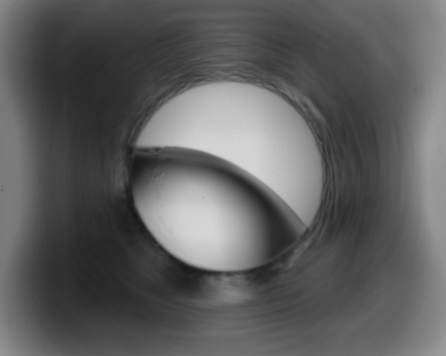X0000099520517200805151035