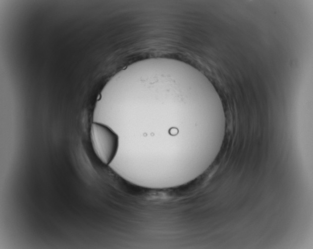 X0000099520519200805151035
