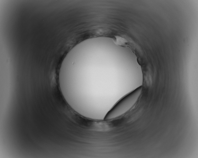 X0000099520520200805151035