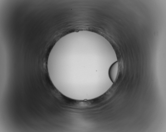X0000099520522200805151035
