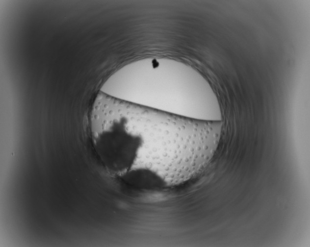 X0000099520523200805151035