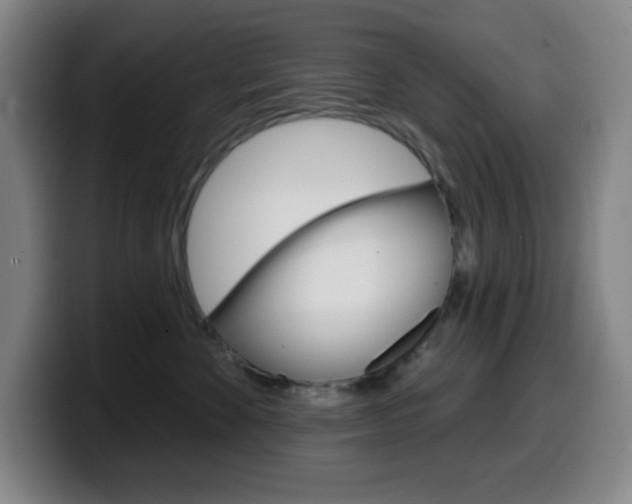 X0000099520524200805151035