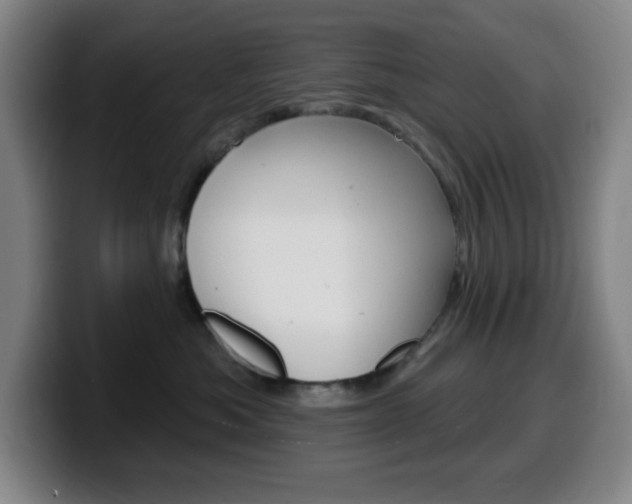 X0000099520525200805151035