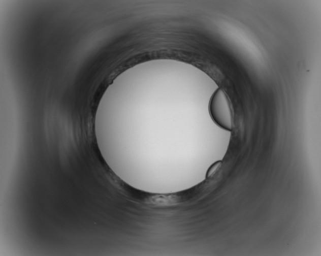 X0000099520526200805151035