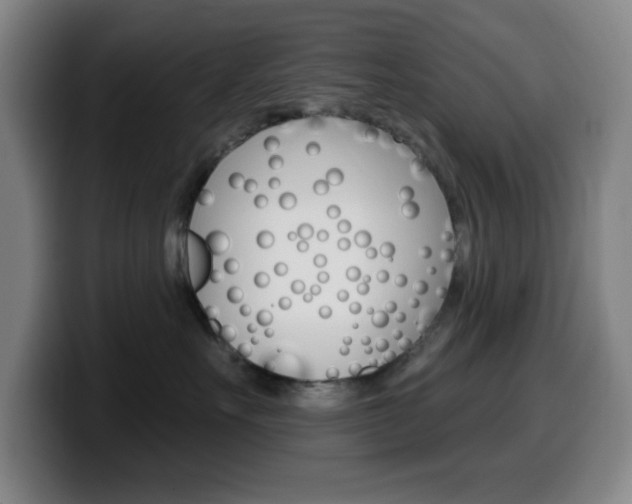 X0000099520527200805151035
