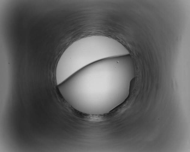 X0000099520528200805151035