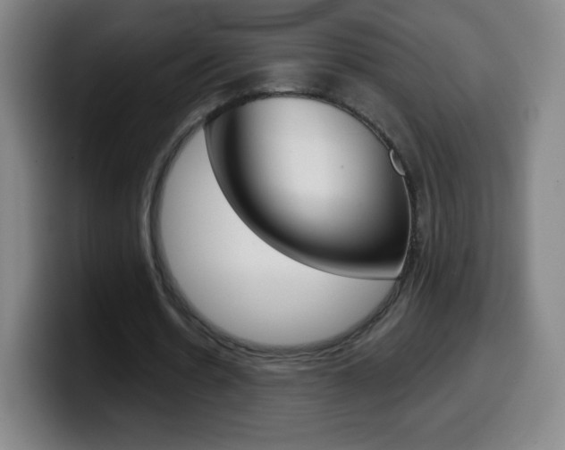 X0000099520530200805151034