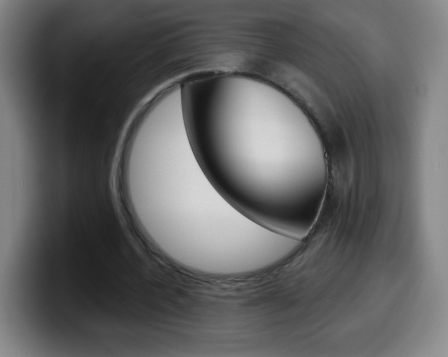 X0000099520532200805151034