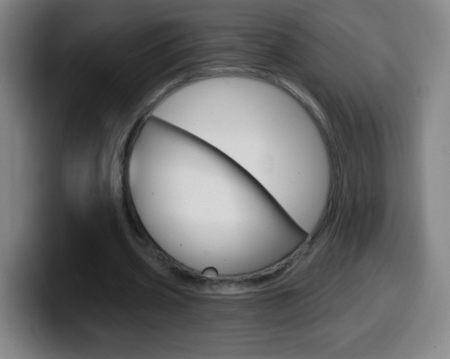 X0000099520533200805151034