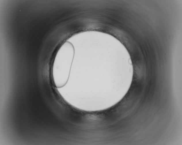 X0000099520534200805151034