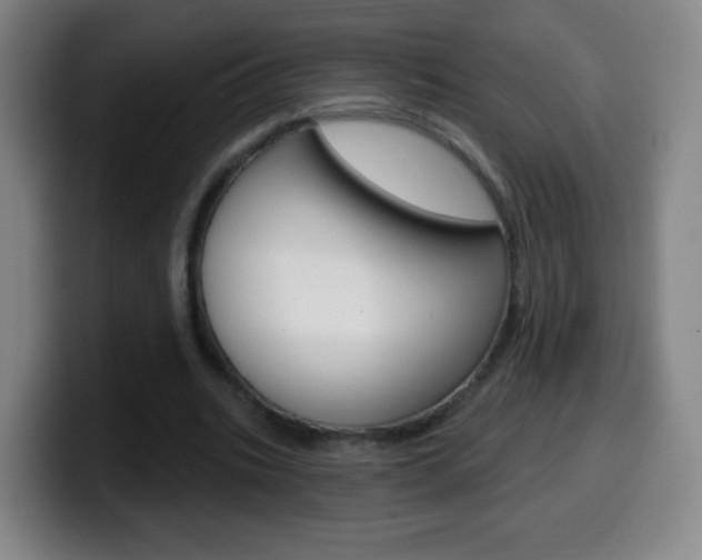 X0000099520535200805151034