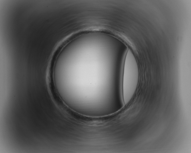 X0000099520536200805151034