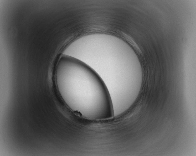 X0000099520538200805151034