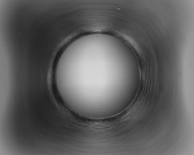 X0000099520540200805151034
