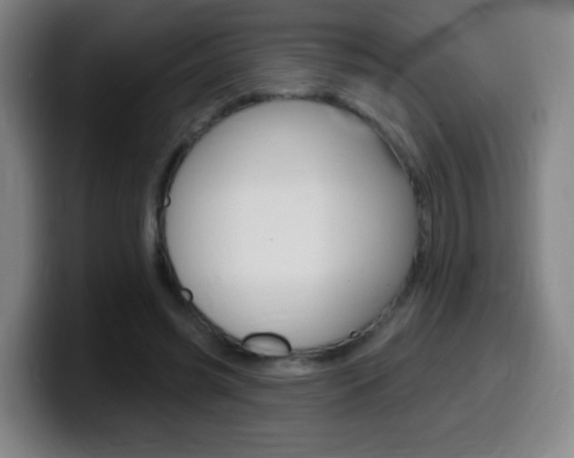 X0000099520541200805151034