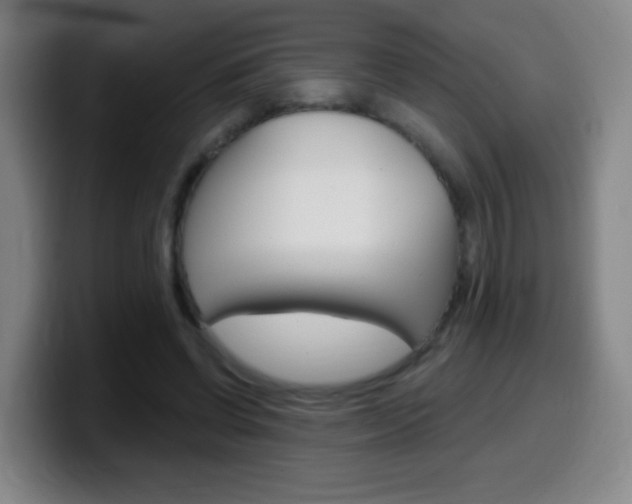 X0000099520542200805151034