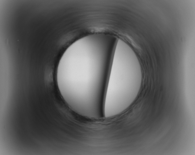 X0000099520543200805151034
