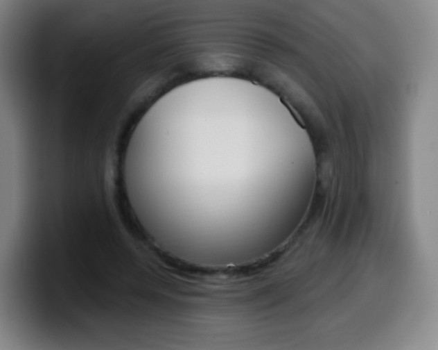 X0000099520544200805151035