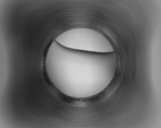 X0000099520545200805151035