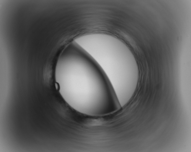 X0000099520548200805151035