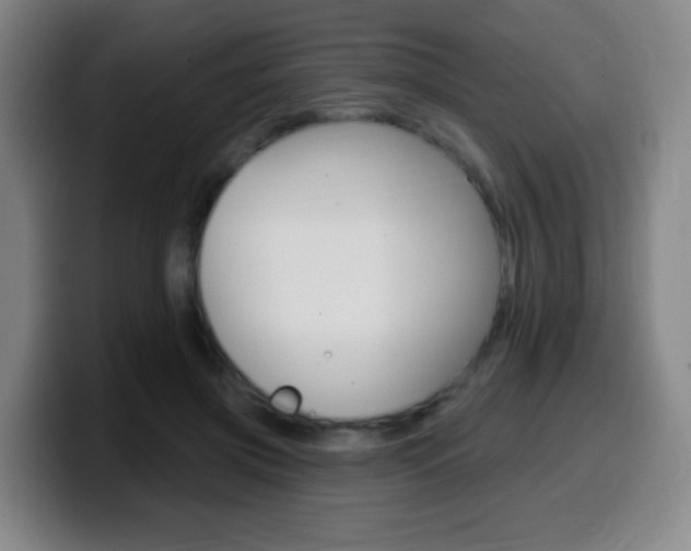 X0000099520549200805151035