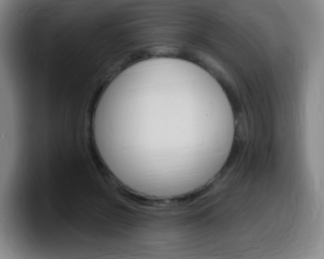 X0000099520550200805151035