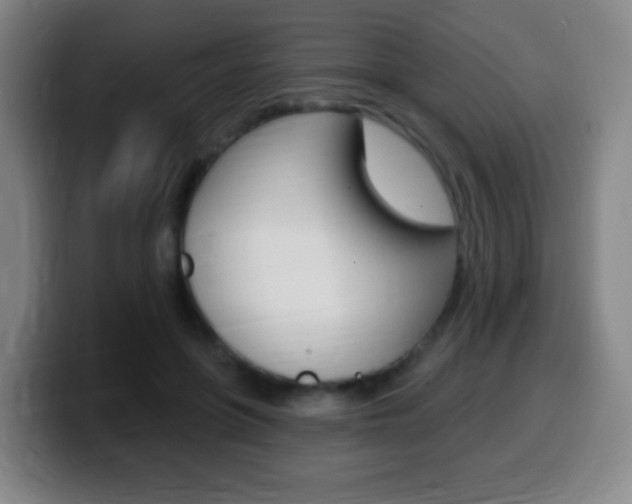 X0000099520551200805151035