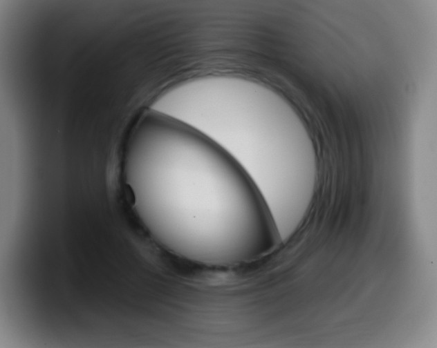 X0000099520552200805151035