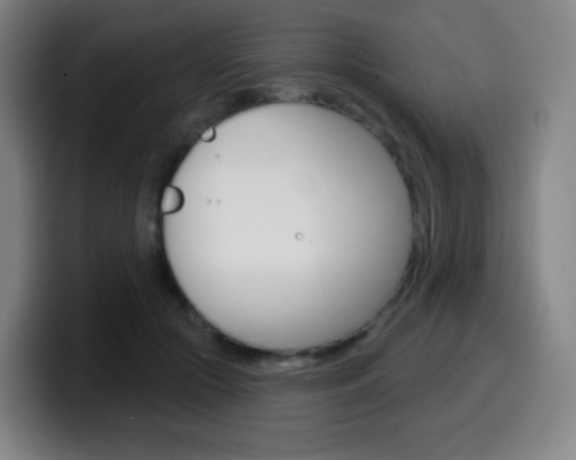 X0000099520553200805151035