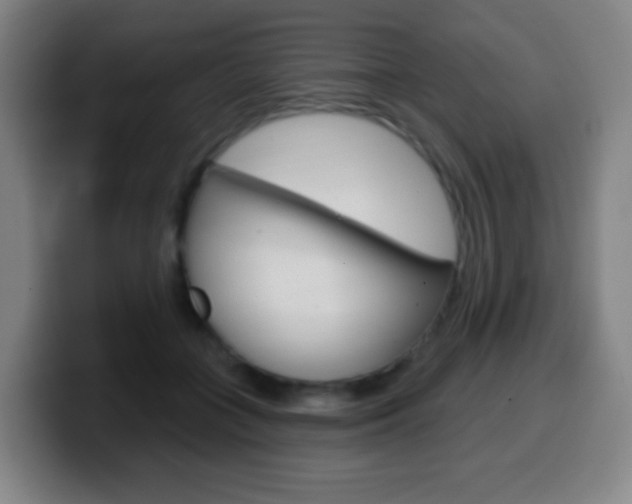X0000099520555200805151035