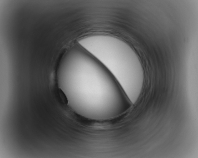 X0000099520556200805151035