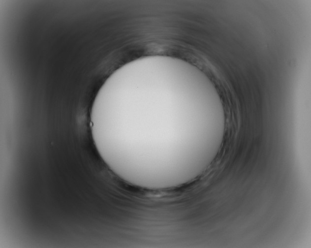 X0000099520557200805151035