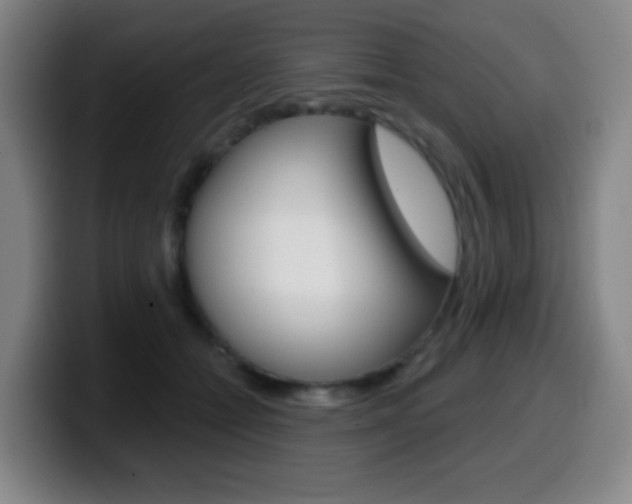 X0000099520558200805151035