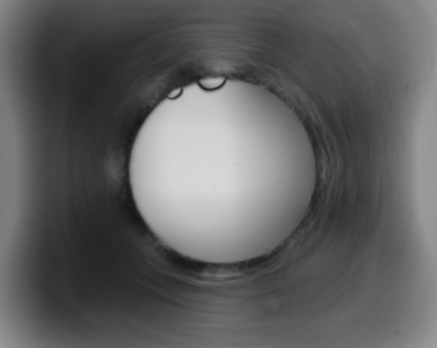 X0000099520559200805151035